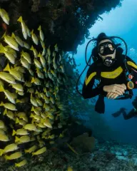 Raja Ampat